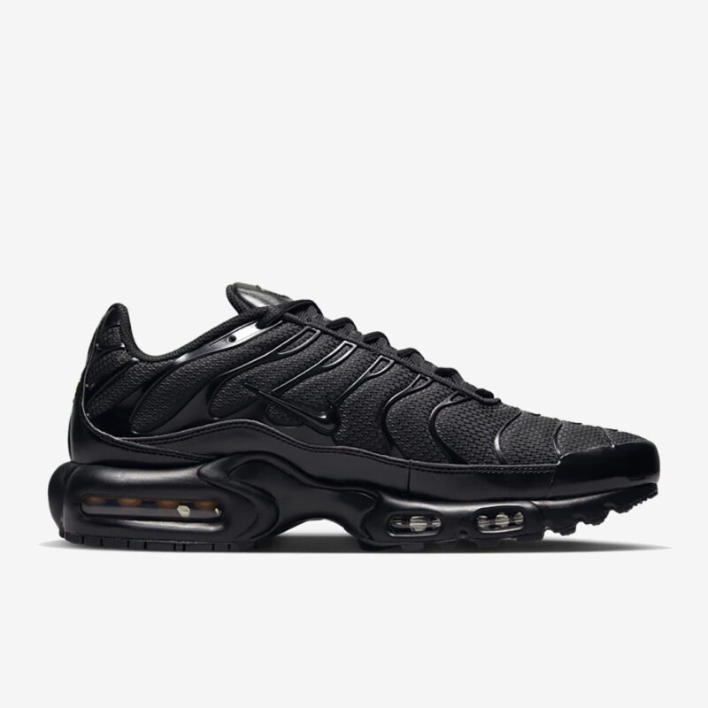 Nike Air Max Plus TN Black  604133-050