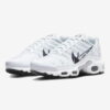 Nike Air Max Plus TN "Silver Swoosh"  dv3456-100 – Image 4