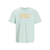 JACK & JONES jorstar tee ss crew neck mar 2024 Homme 12255078-Vertt