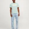 JACK & JONES jorstar tee ss crew neck mar 2024 Homme 12255078-Vertt – Image 3