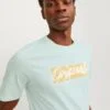 JACK & JONES jorstar tee ss crew neck mar 2024 Homme 12255078-Vertt – Image 4