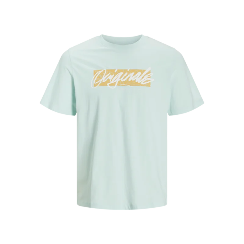 JACK & JONES jorstar tee ss crew neck mar 2024 Homme 12255078-Vertt